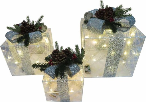 [OM094] Gift Box Clear Pine Set, 15-25cm