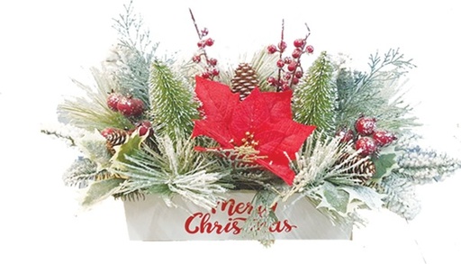 [GT084] Centerpiece Poinsettia Script Box, 46cm
