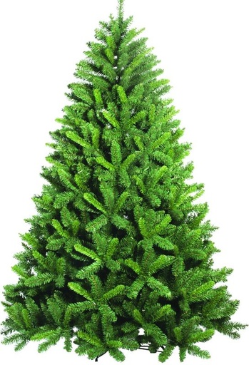 Classic Dense Tip Tree
