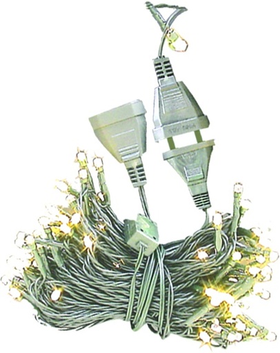 25-LED Fairy Lights with Clear Cable