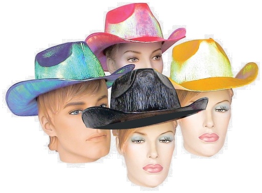 Iridescent Panel Cowboy Hat