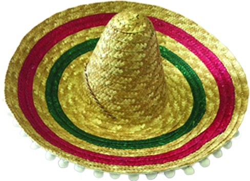 Pom Pom Sombrero