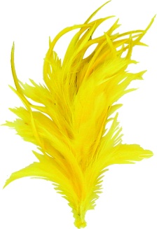 Feather With Clip