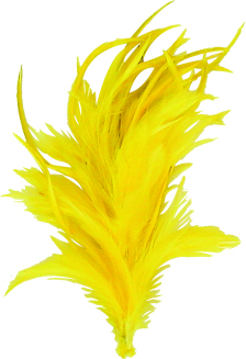 Feather with Clip