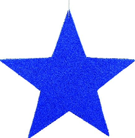 [REF194-B] Glittered Star, 15cm